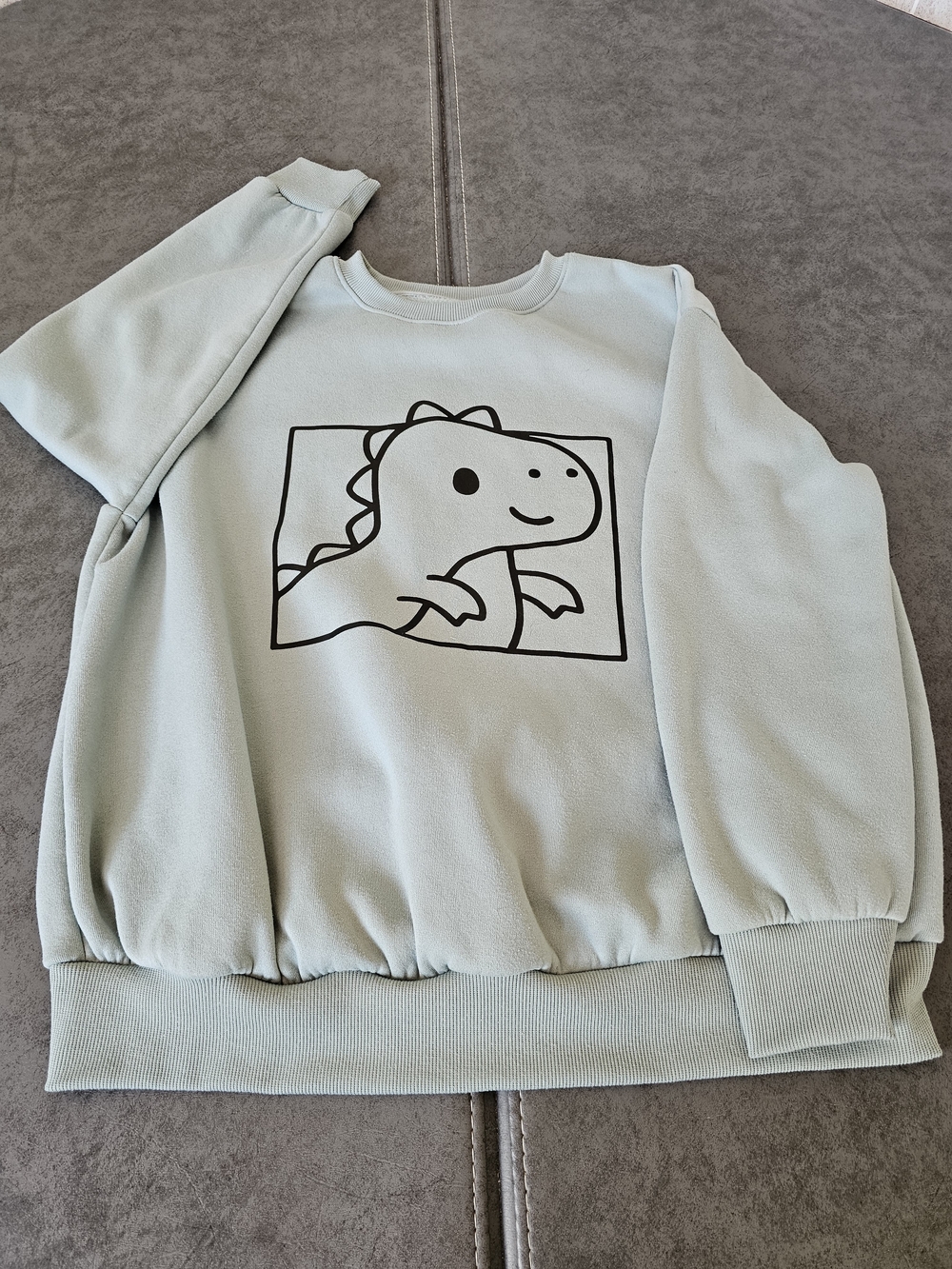 SHEIN Light Mint Green Dinosaur Graphic Sweatshirt Women's Size XL